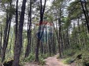 Parcela en venta en Rinconada de Pucón, Curarrehue