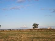 Parcela en Venta en Rio Maitén