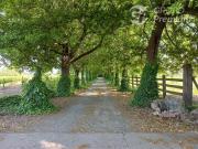 Parcela en Venta en Ruta 5 Sur 6 min. Curicó