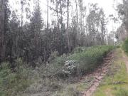 Parcela en Venta en ruta 68