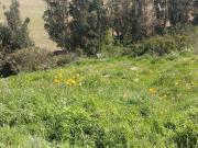 Parcela en Venta en Ruta F850