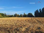 Parcela en Venta en Ruta H Malloa