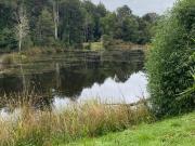 Parcela en Venta en Ruta Sur Km 975 Acceso Frutillar