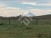 Parcela en Venta en Ruta V30 km2,1 camino a Fresia...