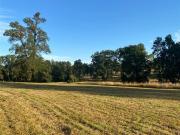 Parcela en Venta en ruta v 200