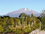 Parcela en Venta en Ruta V 615