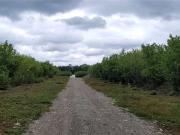 Parcela en Venta en S 91, camino Villarrica Loncoche
