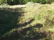 Parcela en Venta en Salida de Villarrica antes de llegar...