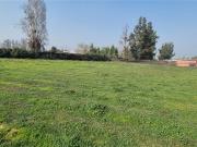 Parcela en Venta en SANTA ELENA / CHICUREO NORTE