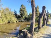 Parcela en venta en SANTA JUANA