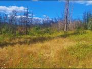 Parcela en venta en SANTA JUANA