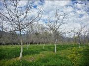 Parcela en Venta en Santa Rita Cercana a Ramón Subercaseaux