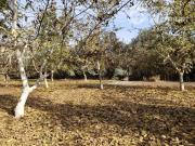 Parcela en Venta en Santa Teresa con El Colorado, Colina