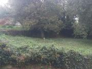 Parcela en Venta en Santiago de Compostela, La Coruña