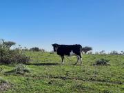 Parcela en venta en SANTO DOMINGO