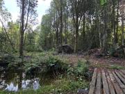 Parcela en Venta en SECTOR COLONIA LA POZA