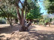 Parcela en Venta en SECTOR EL MEMBRILLO, PARCELA EL...