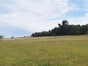 Parcela en Venta en Sector El Ñady