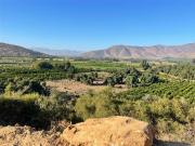 Parcela en Venta en Sector Los Canelos de Miraflores