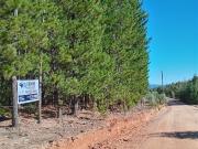 Parcela en Venta en Sector Los Cristales, camino...