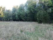 Parcela en Venta en Sector rural Tehuaco, dalcahue