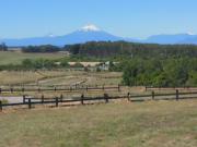 Parcela en Venta en Senderos del Bosque, Llanquihue