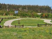 Parcela en Venta en Senderos del Bosque, Llanquihue