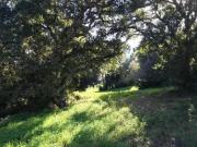 Parcela en venta en Sotogrande Cádiz