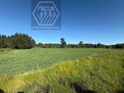 Parcela en venta en TEMUCO