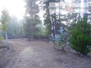 Parcela en Venta en Terreno en zona productiva portuaria...