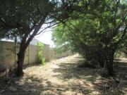 Parcela en venta en TILTIL