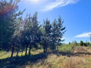 Parcela en venta en TOMÉ