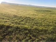 Parcela en Venta en Torrejón de Velasco, Madrid