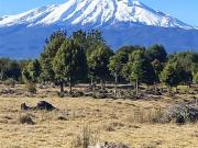Parcela en Venta en V 609, Puerto Varas, Los Lagos