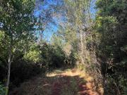 Parcela en venta en VALDIVIA