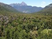 Parcela en Venta en Valle Escondido, Curarrehue La...