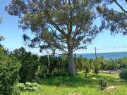 Parcela en Venta en VENDE PARCELA CARRETERA AUSTRAL/ LAS...