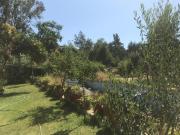 Parcela en Venta en Vicente Pérez Rosales