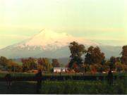 Parcela en venta en VILCÚN