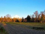 Parcela en venta en VILLARRICA