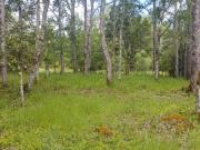 Parcela en venta en VILLARRICA