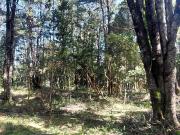 Parcela en venta en VILLARRICA