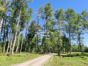 Parcela en venta en VILLARRICA