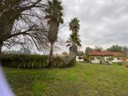 Parcela en Venta en Viña de Martino