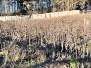 Parcela en venta en VIÑA DEL MAR