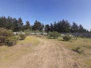 Parcela en venta en VIÑA DEL MAR Parcela en venta en VIÑA DEL MAR