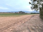 Parcela en venta en Yecla, Ayuntamiento