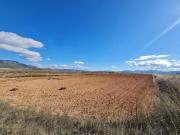 Parcela en venta en Yecla, Ayuntamiento