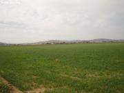 Parcela en Venta en Yecla, Murcia