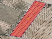 Parcela en Venta en Yecla, Murcia